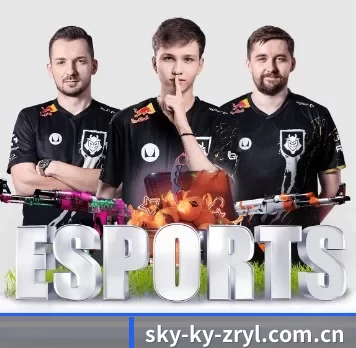 sky-ky-zryl.com.cn APP 界面